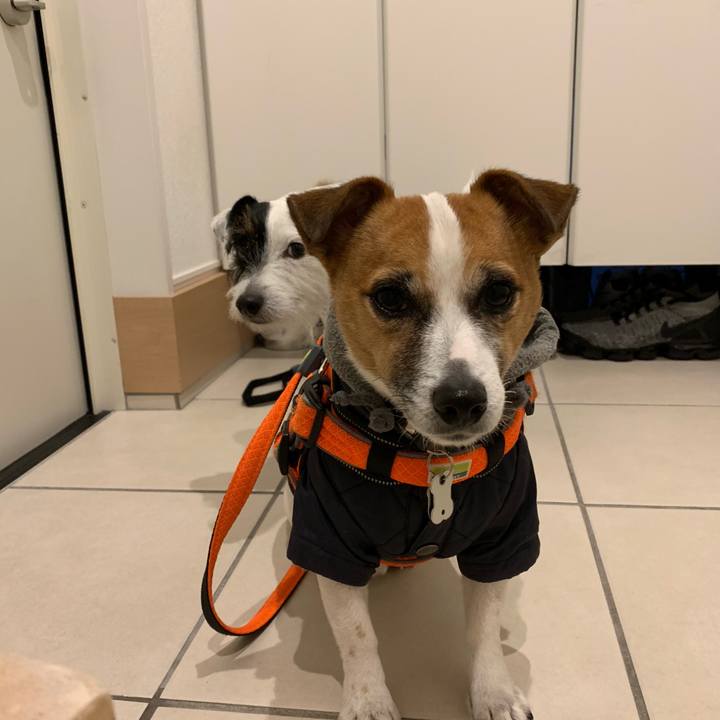 27afb949 4f57 497e 8e9c d1e36b18aee9 1547108683085