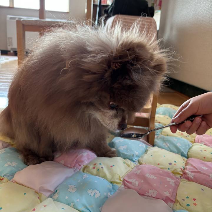 27afe547 425e 473d 8f1f aaffbfadcc85 1749253219279