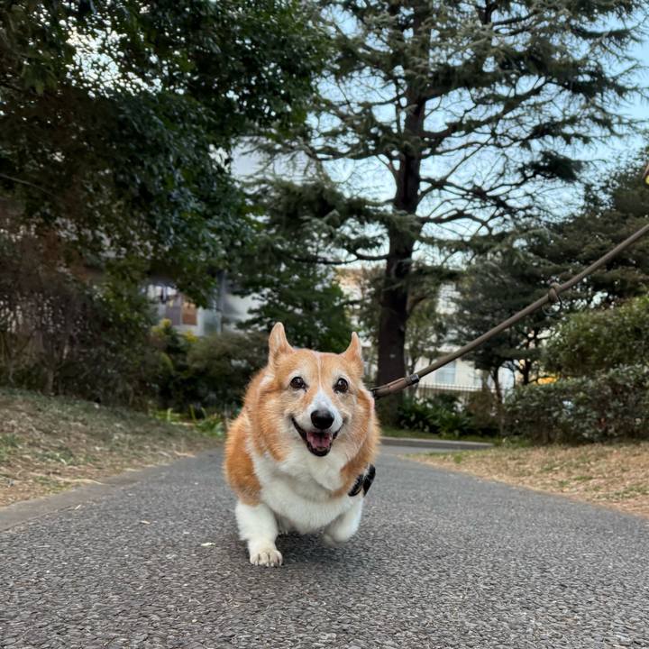 27aff021 e1b3 46f4 8d0d ee869caaa0b2 1769933253534