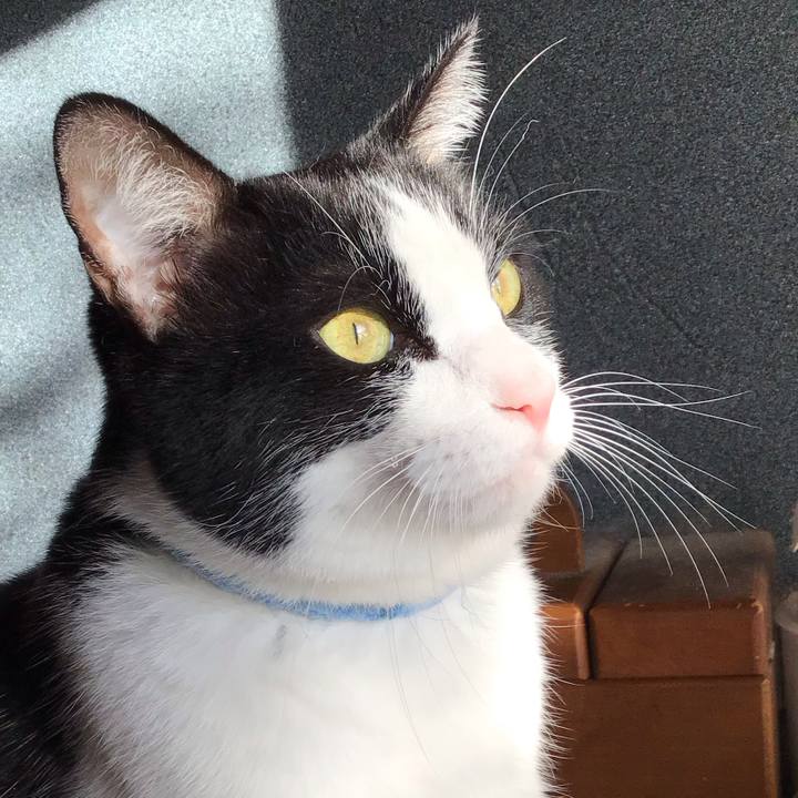 27b0052e 343f 4fba b70a bef3854b923b 1732405052228