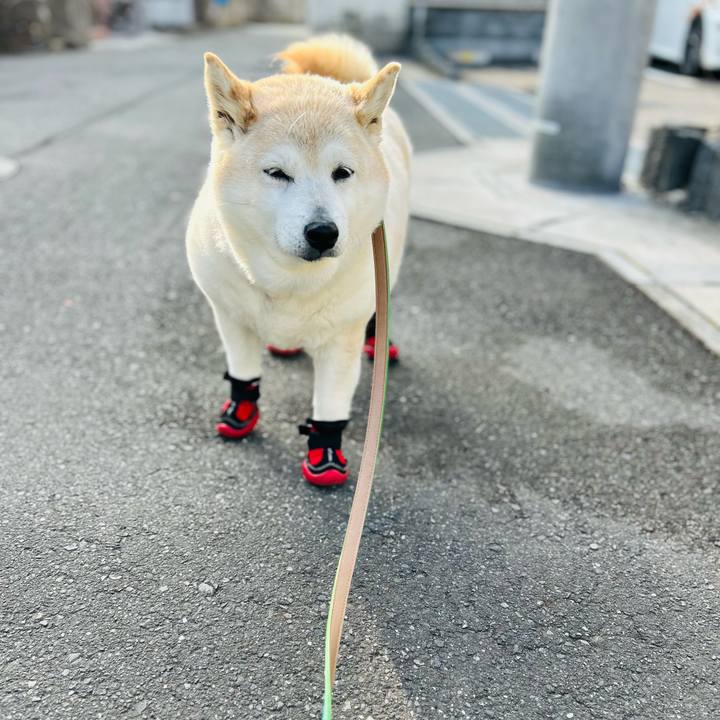 27b04f15 5a13 4eb5 80e8 273ec22a6bf2 1737784349891