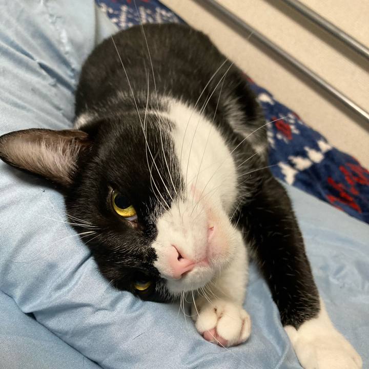 27b06521 b897 48ee 94d2 2b9118f63278 1613300030481