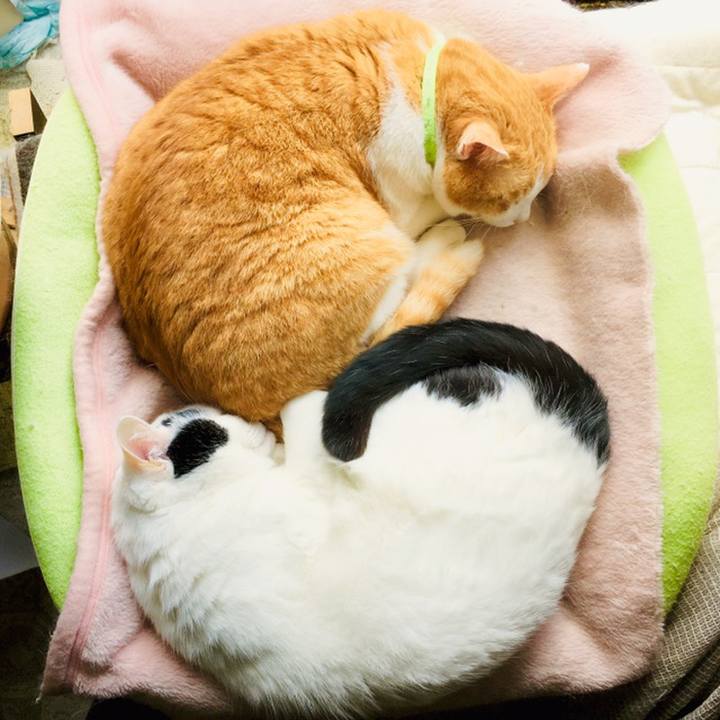 27b092a9 3c03 431d b21e 0ba26e25e802 1560047656306