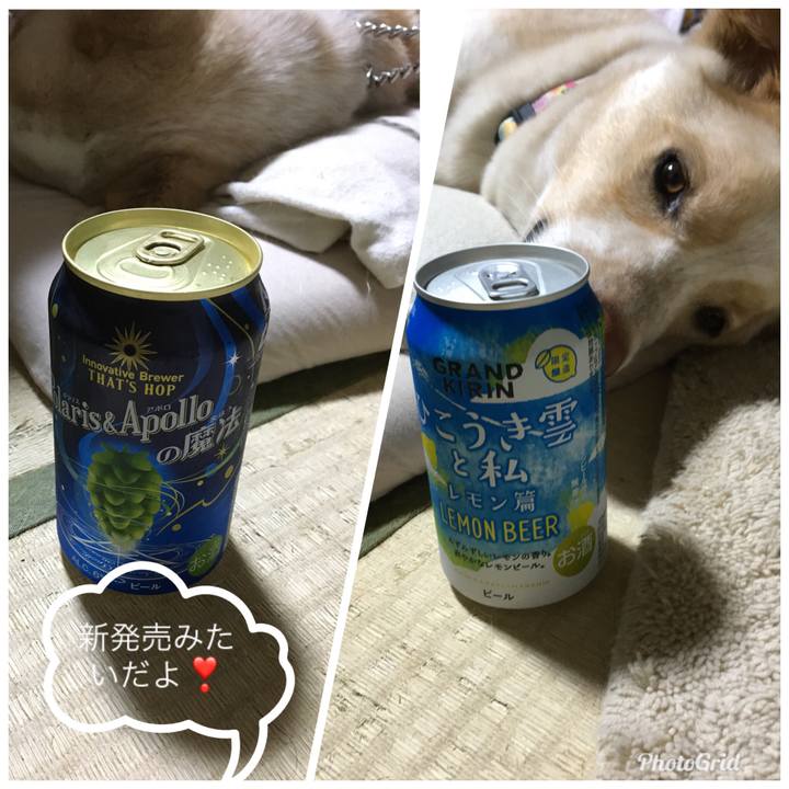 27b0b64c 1667 4605 b7fc 4134c4c8d453 1524839940576