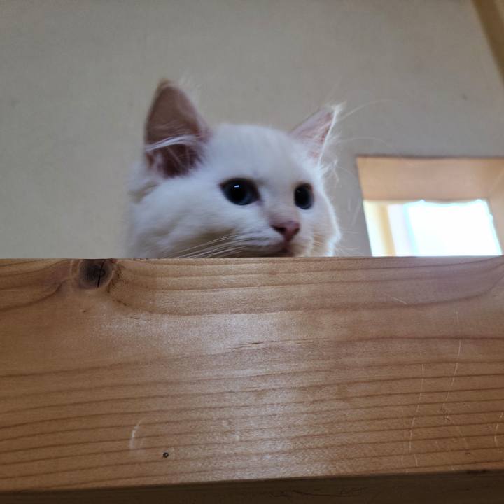 27b0f5ee 2985 4212 9d8d 369d30c1896d 1655860218094