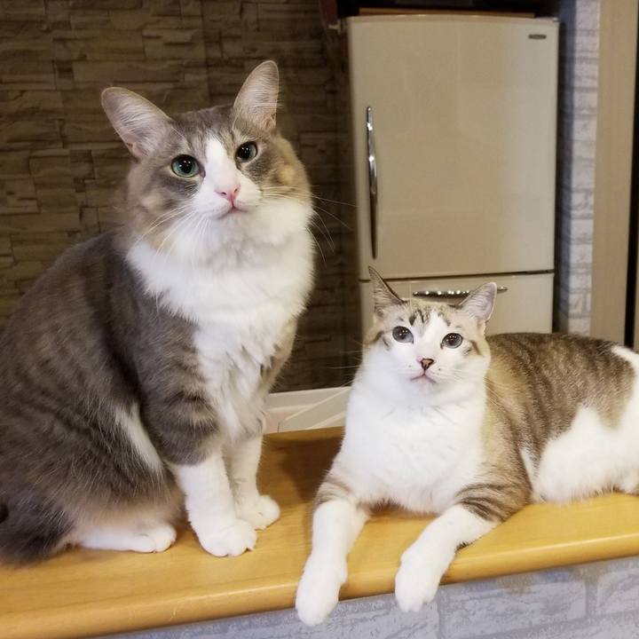 27b0ff9e 10d3 4965 a2fb a9888fb0abc5 1540570514833