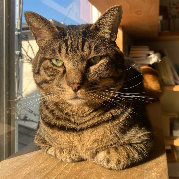 27b10141 a0bd 40ab 9512 cc1aee37f2b2 1699017817199