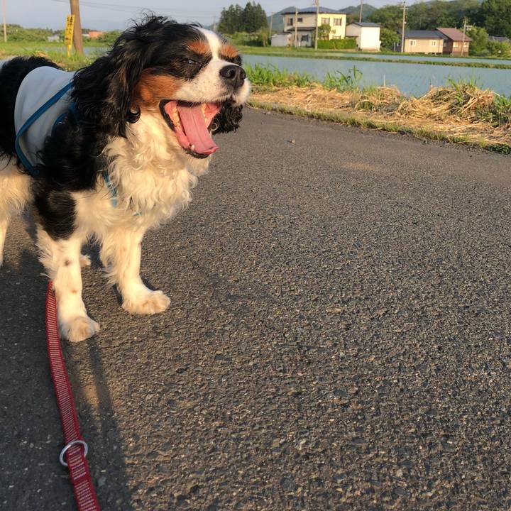 27b12767 6146 4aec a1f8 4a95b434a57e 1527498568305