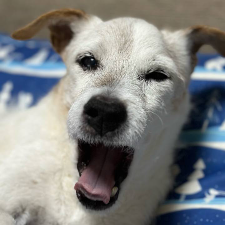 27b129e5 23bf 43dd a785 f72c53e28040 1667566421578