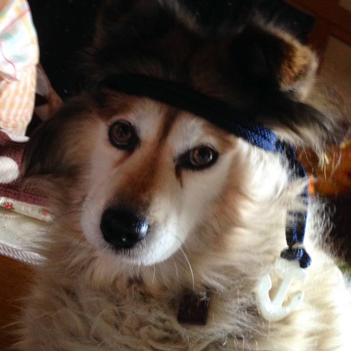 27b14be4 a205 45c4 a14c e1148ce7d47c 1590410895408