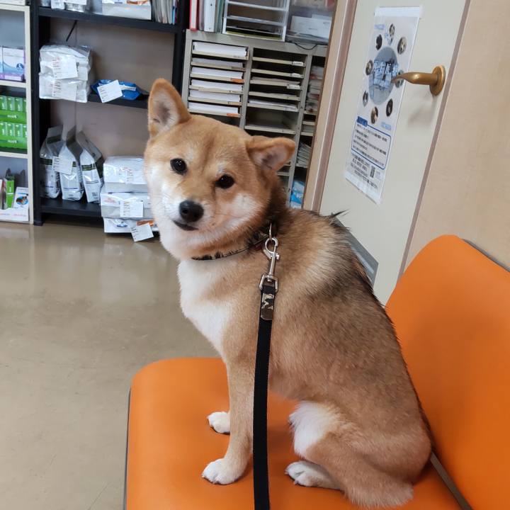 27b172e0 8460 4c91 8ed4 3671678a32f9 1642309538784