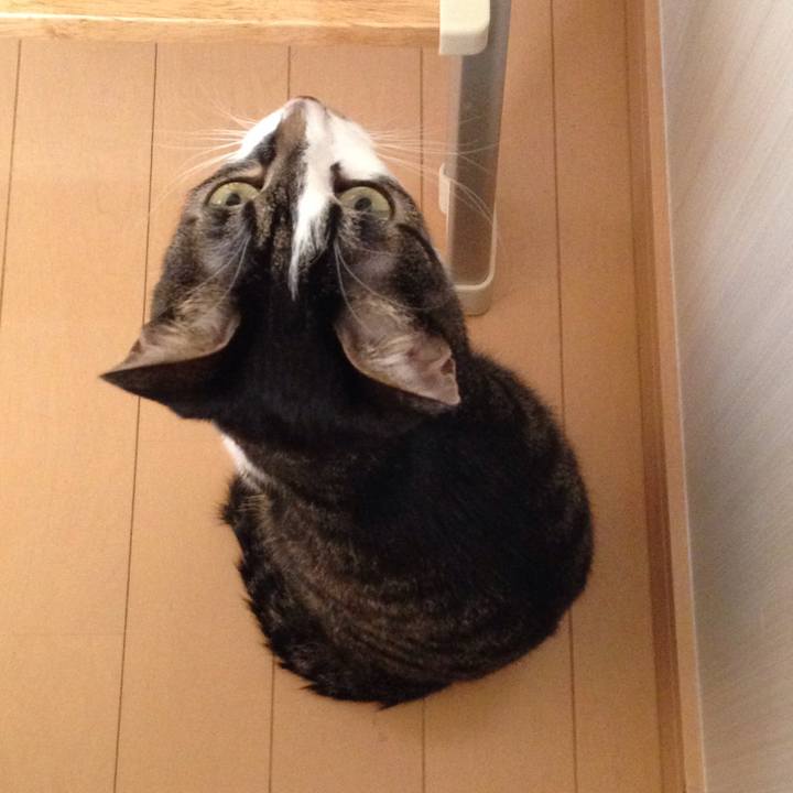 27b1abb6 65fc 4782 9e38 dcab49f4d025 1514180679397