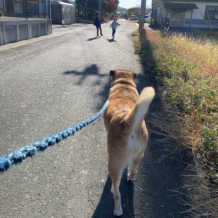 27b1c9d1 a924 4d5e 9214 acf0e38867ac 1637633208994