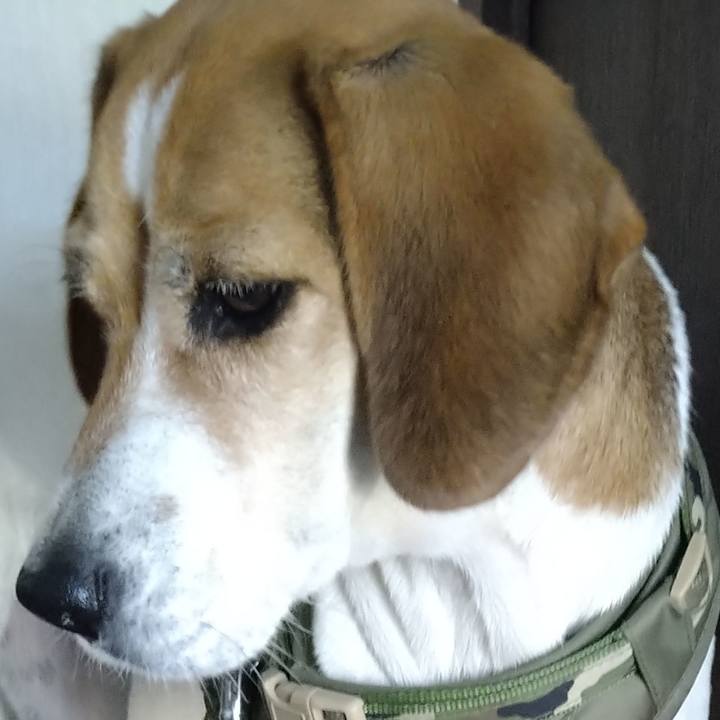 27b20b0a de4d 435c 9a7e eba971ad6187 1667057210650