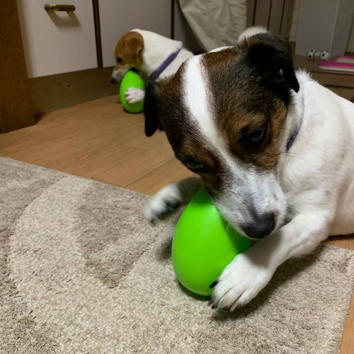 27b21968 6b8f 4bd4 ae07 19b04720c404 1592558632323