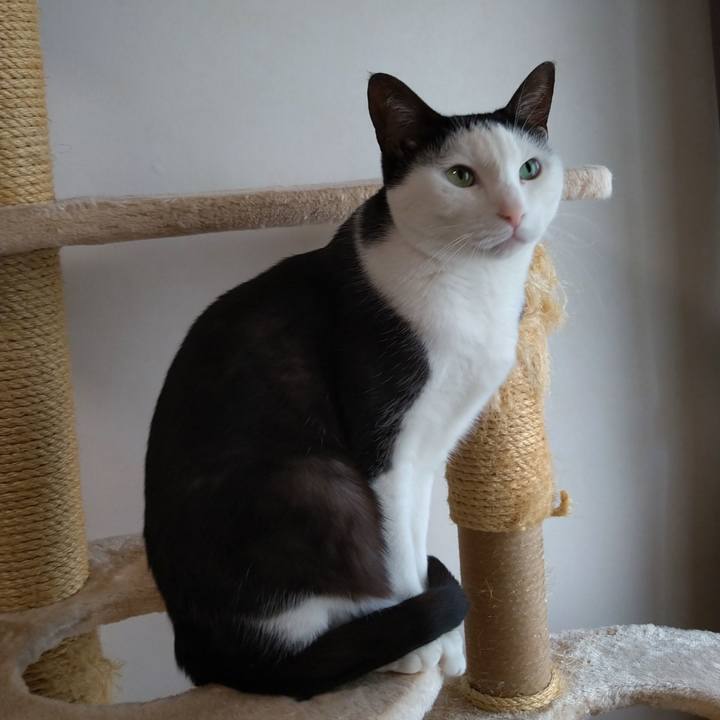 27b26120 1c2f 4b1a 95cb f2ffa8aad899 1587189811609