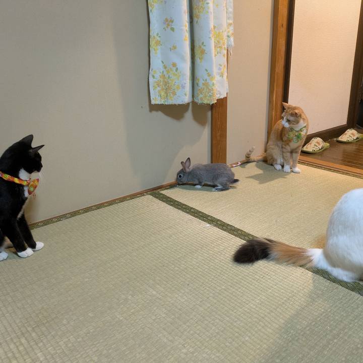 27b26262 8885 4355 ad07 d058eb32930c 1757678250683