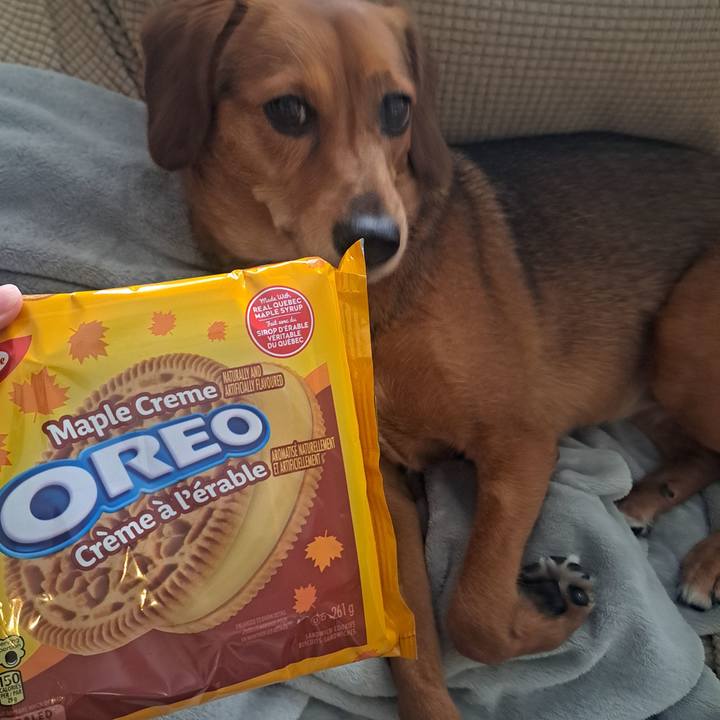 27b2c0b1 b38d 45b9 8f29 e3d30c9b4252 1774090819911