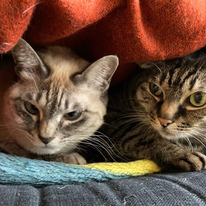 27b2e0d9 0694 4a2e 8227 20932d4f9960 1739677769774