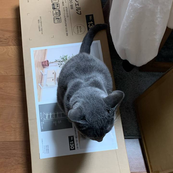 27b2e589 1e14 4779 8f23 9da07b49332f 1673421459749