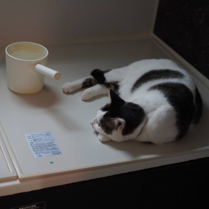 27b31b4f f7fc 47b7 bb38 198f4e19319f 1625231896475