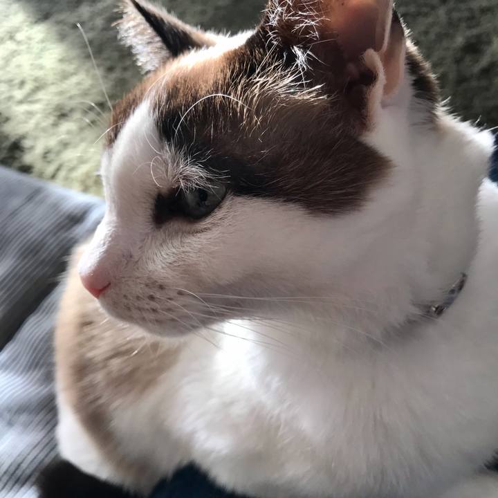 27b3ac7c 6b9e 49f5 8fef e6c2061383bd 1610172302471