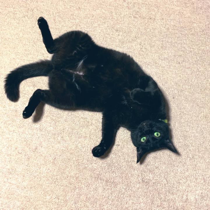 27b3b436 e356 4070 a9a2 36129ad8f1cf 1567384172728