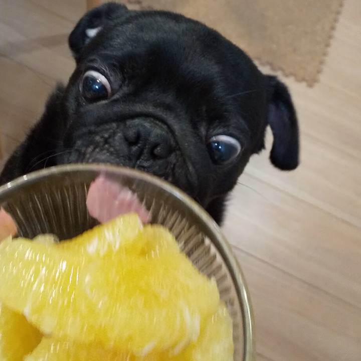 27b42e74 7357 4afd ac5c d4cf2be9776d 1592223855804