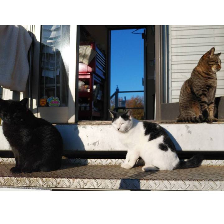 27b45dde e5d2 4eef 8e0d ce7dd057413b 1607303203240