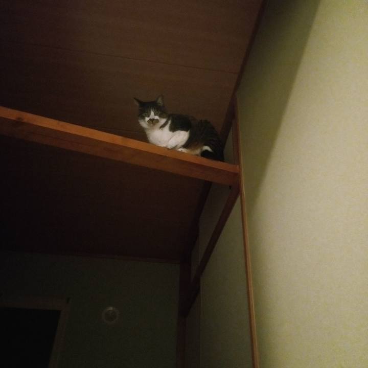 27b46c48 c5d2 4e1c 9158 34da64485412 1757751725130