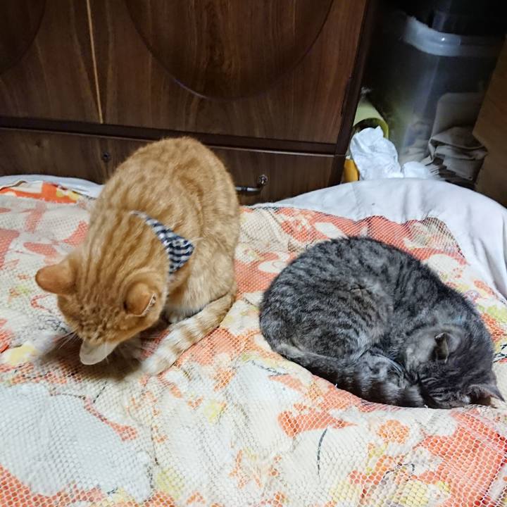 27b47b40 c766 4543 9157 47daea8357d5 1572095976396