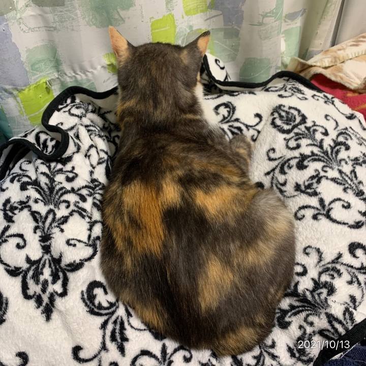 27b49dbc f9dc 43ef bef8 fc13527c5584 1634133467109