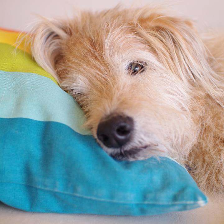 27b49f0e ff18 43c1 9aee 9ba6007d8a6a 1607393291936