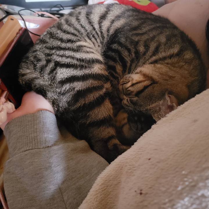 27b4a69e 8f1c 4c31 b7b0 aab12cc48eff 1542060548122