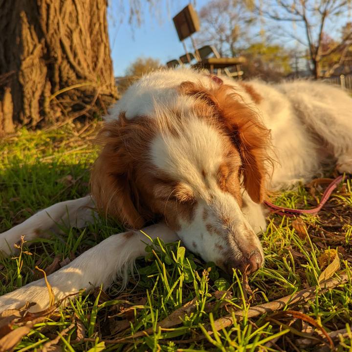 27b4ecff 78bc 48b1 a286 74ef1eb038c5 1639036295062