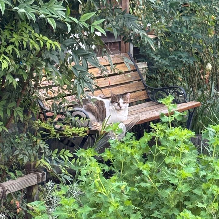 27b4f415 9f42 406b 876d fc2aa4ac3d70 1757203860034