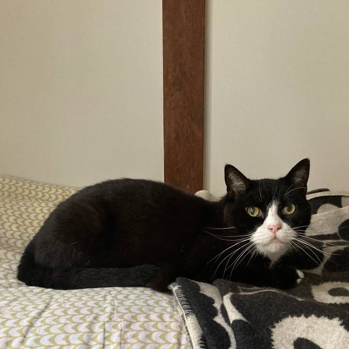 27b4f5d6 ebce 4fbf 980a 170814f69da0 1633846308776