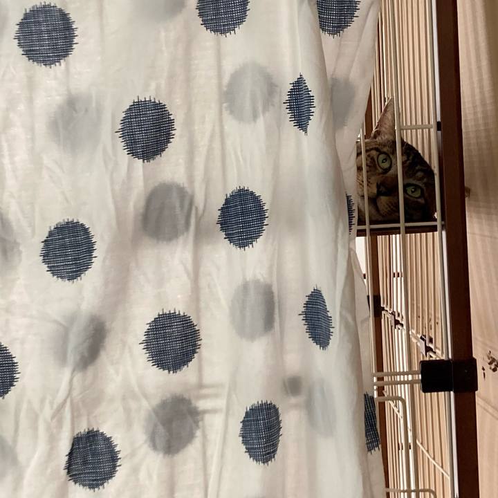 27b52c1c 7d28 4fe9 9e4e cb95cdc8ab6f 1660435486138