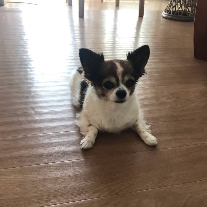 27b5a858 d39c 4372 9b56 19c9fa33101e 1662957253315