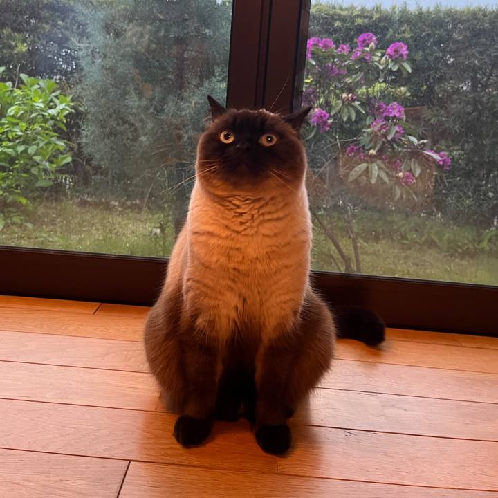 27b5aecc 70c7 4de4 9fc9 155ec34bf434 1650705270654