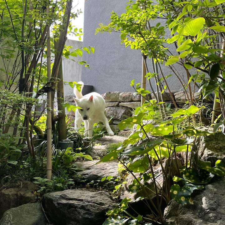 27b5cafe e4aa 41cf abd8 2993736bd461 1618999589474