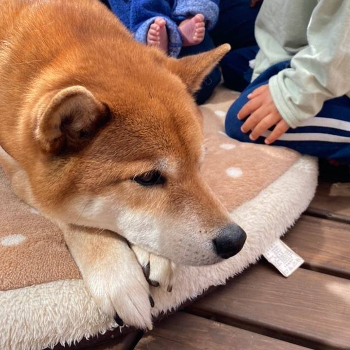 27b5e7c7 6a1b 4269 80f4 99f4793444a7 1616058737704