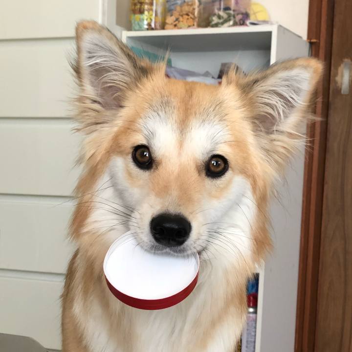 27b60974 f029 4c1a b7cf 4e566545f416 1524271236330