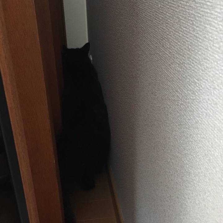 27b623bd ed44 423e bce2 312e621c0512 1540640391212