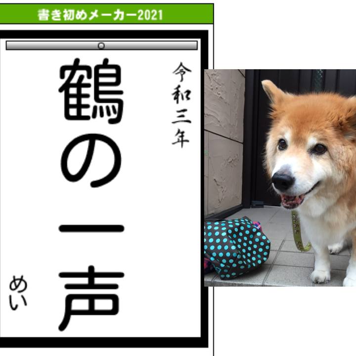 27b647fc 91bd 4004 a555 ec1afe1a5225 1609591298075