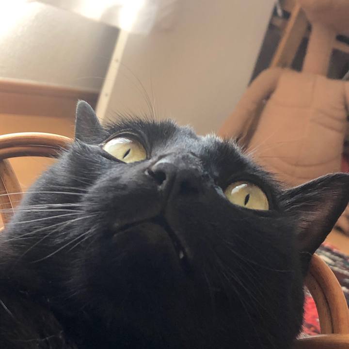 27b68283 ce05 4df4 b061 09cf156aca74 1589434084610