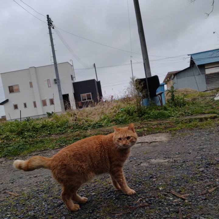 27b6ed9d a0b2 4ecb bc72 465768fe53d1 1670224408940