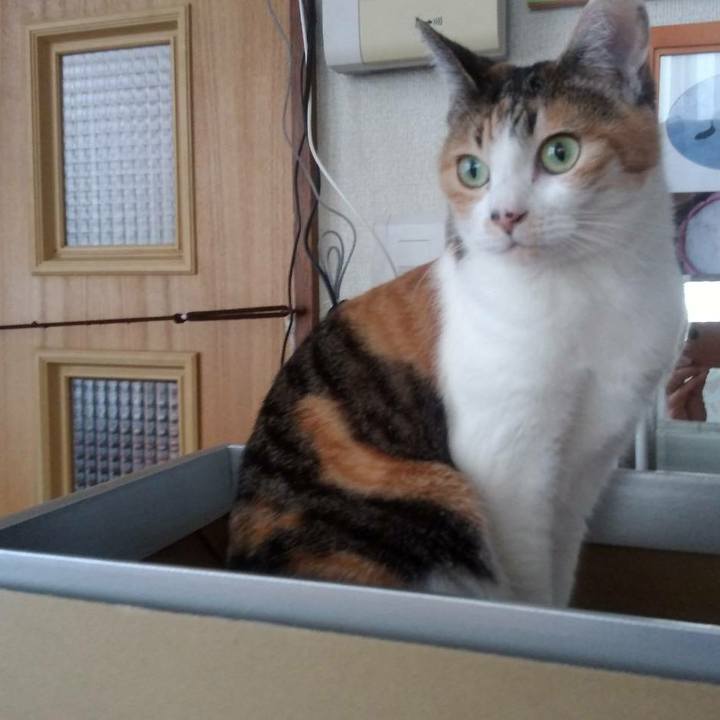 27b717c6 ef3c 4b70 8fd7 56594c3c585b 1548989890176