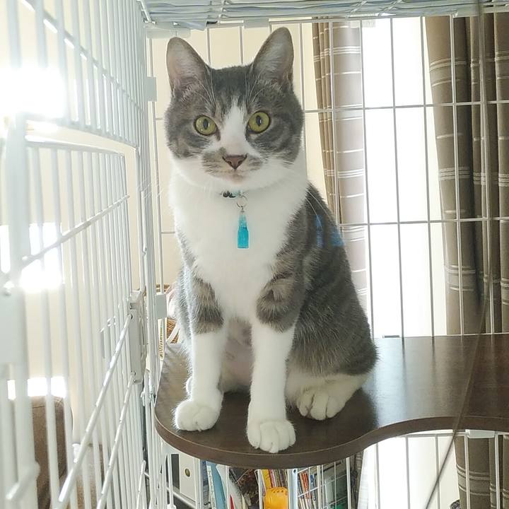 27b71848 9acf 47dd 94e2 b4fd00b0d7ad 1585955801266