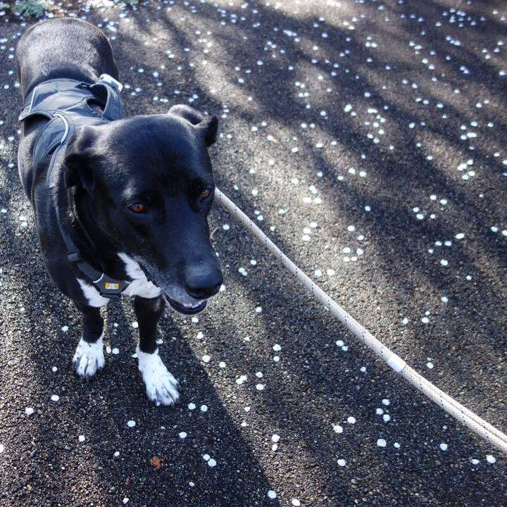 27b71859 cbb9 4ff1 988b b8657f4d1009 1647218494157